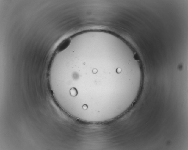 X0000115201181200911251436