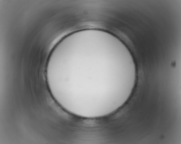 X0000115201182200911251436
