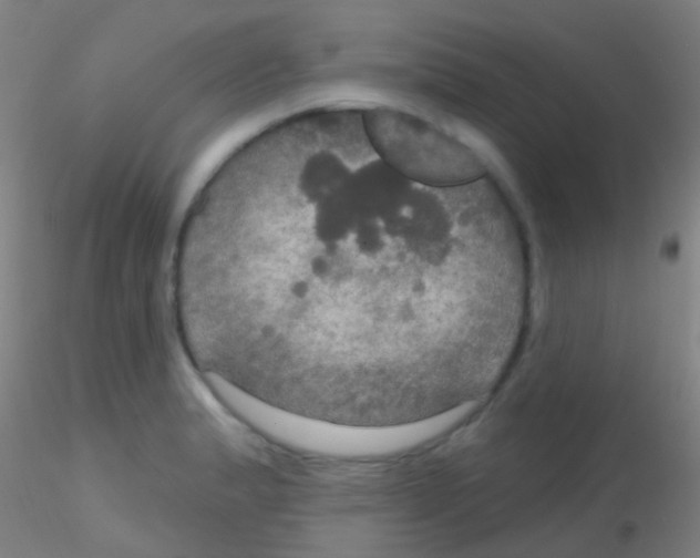 X0000115201183200911251436