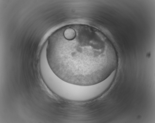 X0000115201184200911251436