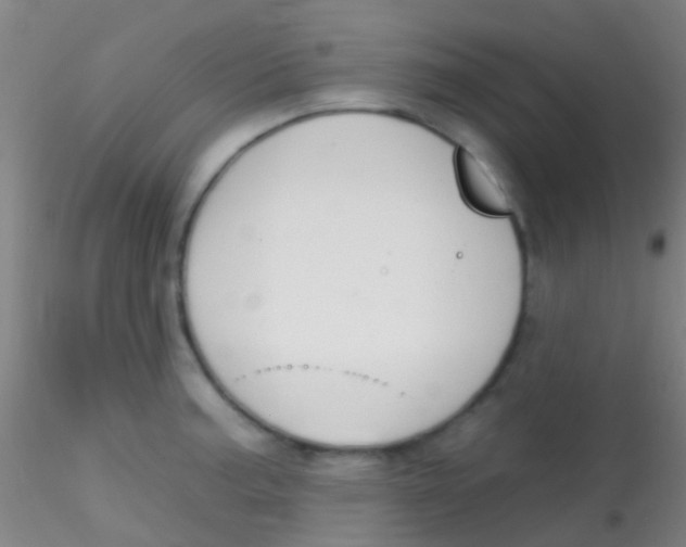 X0000115201187200911251436