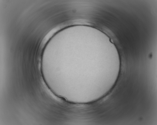 X0000115201188200911251436