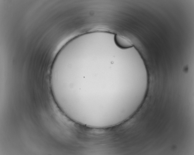 X0000115201190200911251435