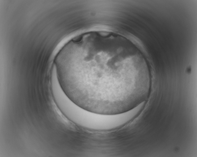X0000115201192200911251435