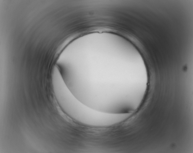 X0000115201193200911251435