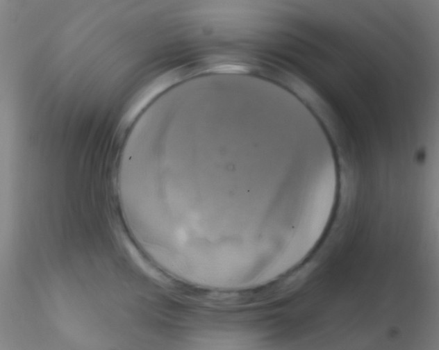 X0000115201194200911251435