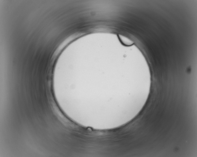 X0000115201195200911251435
