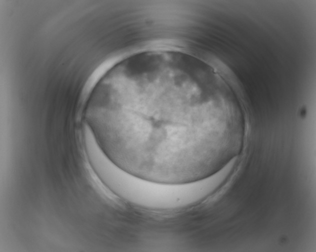 X0000115201196200911251435