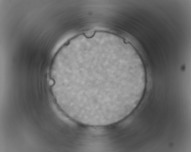 X0000115201198200911251435