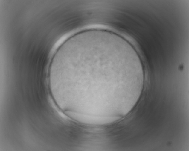 X0000115201199200911251435