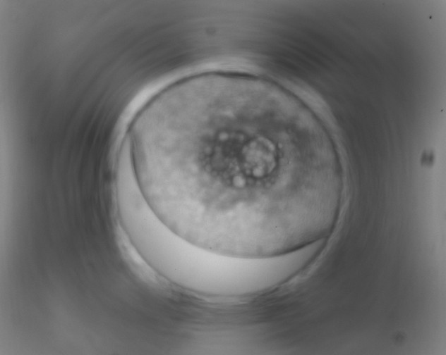 X0000115201200200911251435