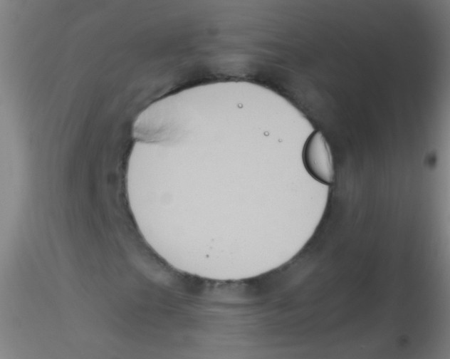 X0000115201201200911251435