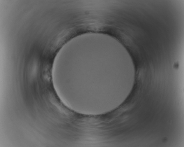 X0000115201202200911251435