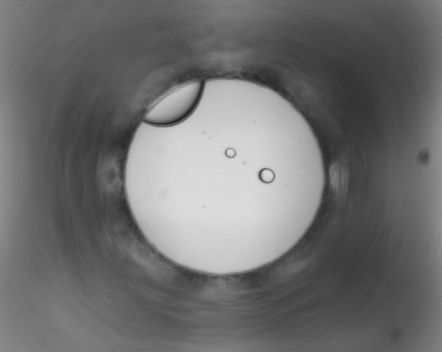X0000115201203200911251435