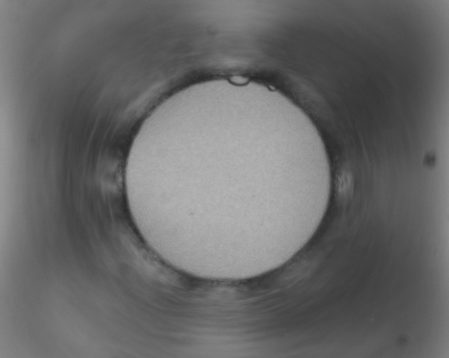 X0000115201204200911251435