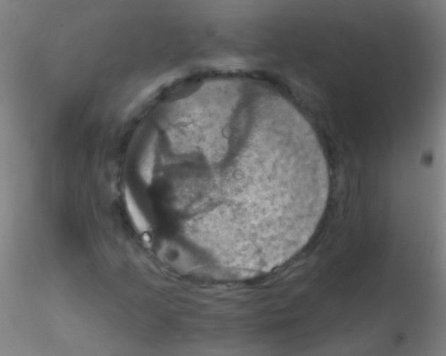 X0000115201205200911251435
