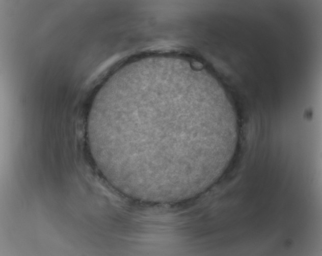 X0000115201206200911251435