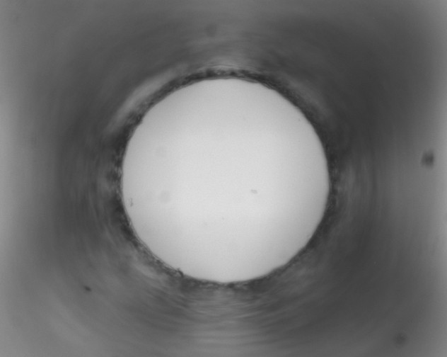 X0000115201207200911251435