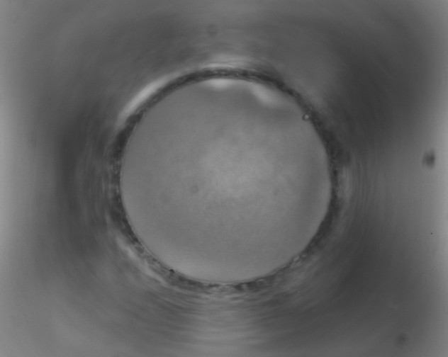 X0000115201208200911251435