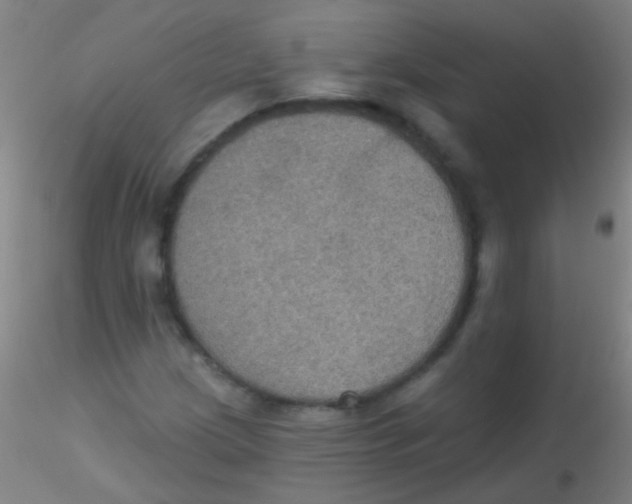 X0000115201209200911251435