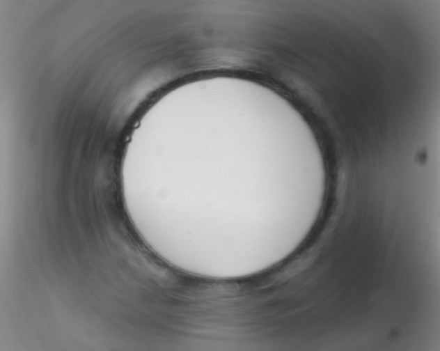 X0000115201210200911251435