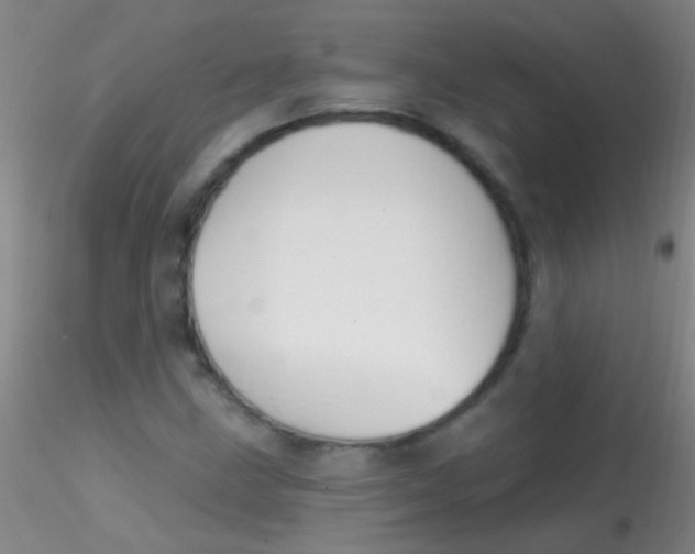 X0000115201211200911251435
