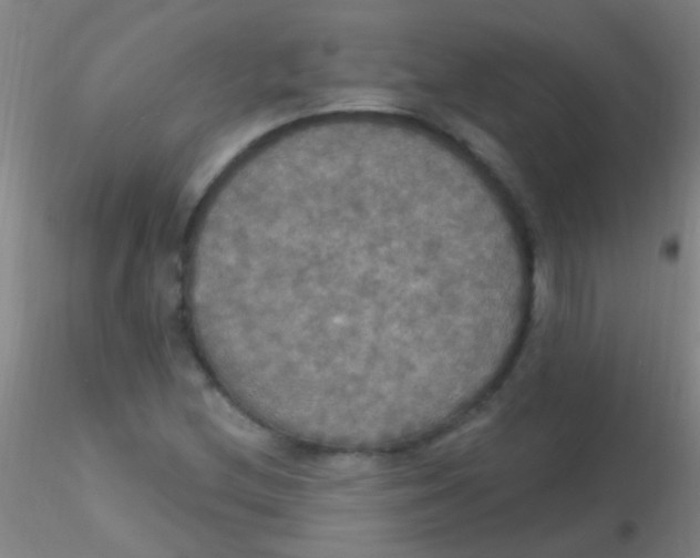 X0000115201212200911251435