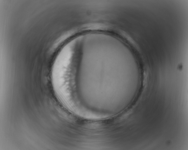 X0000115201213200911251435