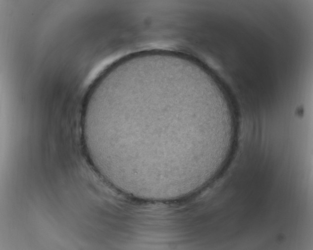 X0000115201214200911251435