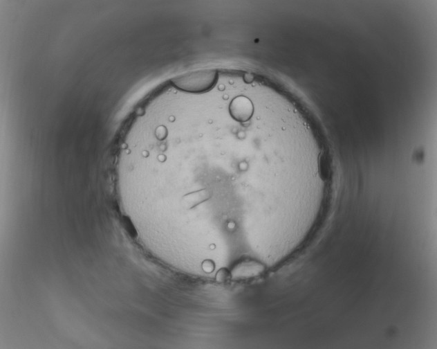 X0000115201215200911251435