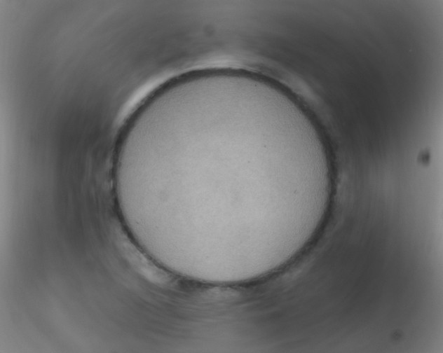 X0000115201216200911251435