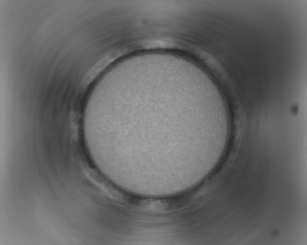 X0000115201217200911251435