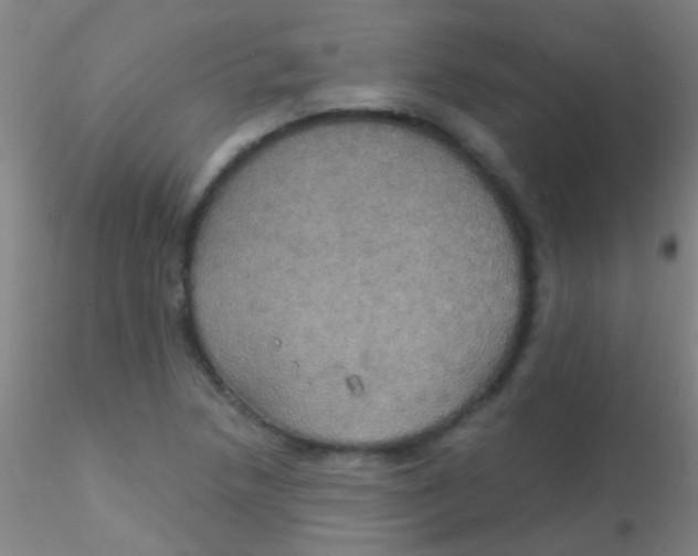 X0000115201218200911251435