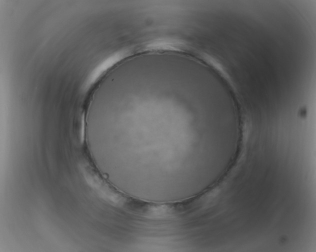 X0000115201219200911251435