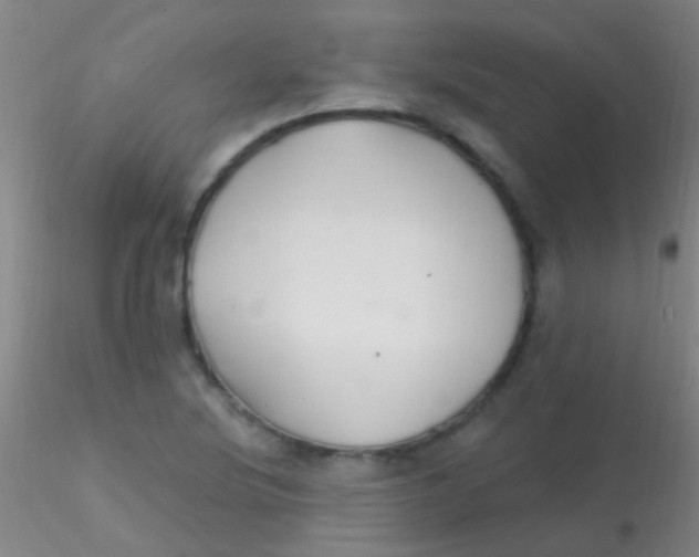 X0000115201220200911251435