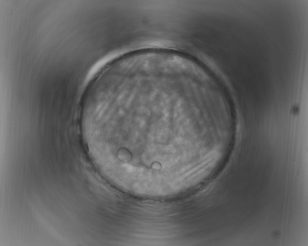X0000115201222200911251435