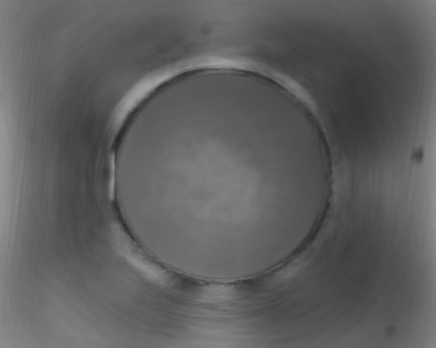 X0000115201223200911251435