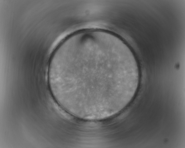 X0000115201224200911251435