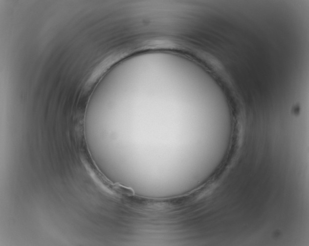 X0000115201225200911251435