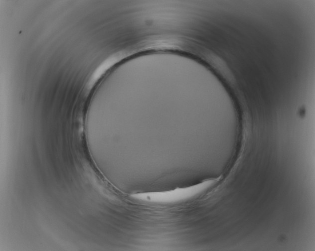 X0000115201226200911251435