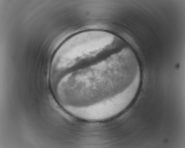 X0000115201228200911251435