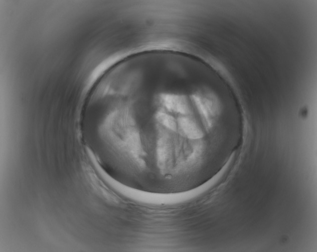 X0000115201230200911251435