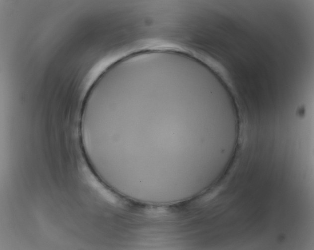 X0000115201231200911251435