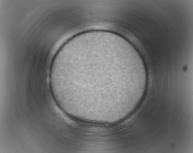 X0000115201232200911251435