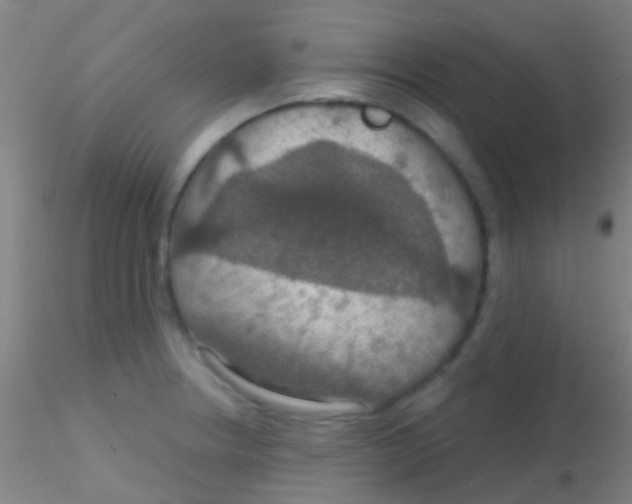 X0000115201234200911251435