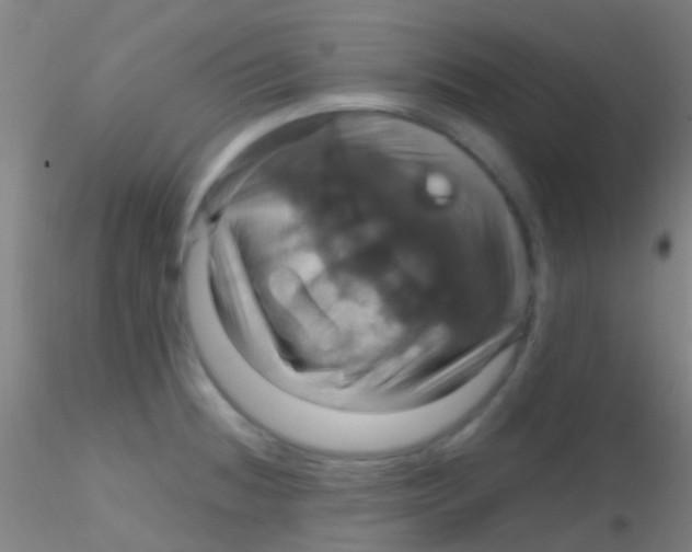 X0000115201236200911251435