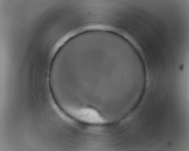 X0000115201237200911251435