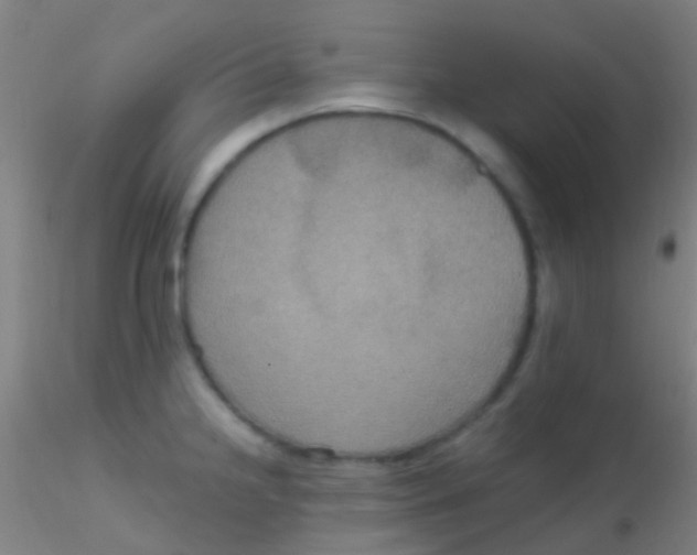 X0000115201238200911251435