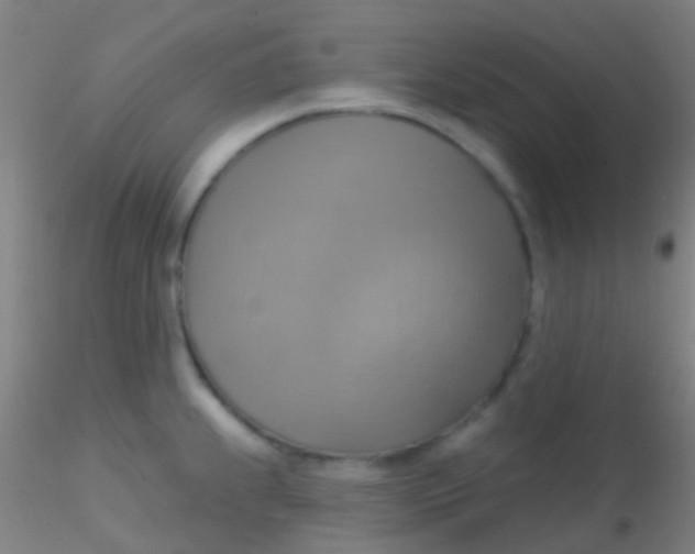 X0000115201239200911251435