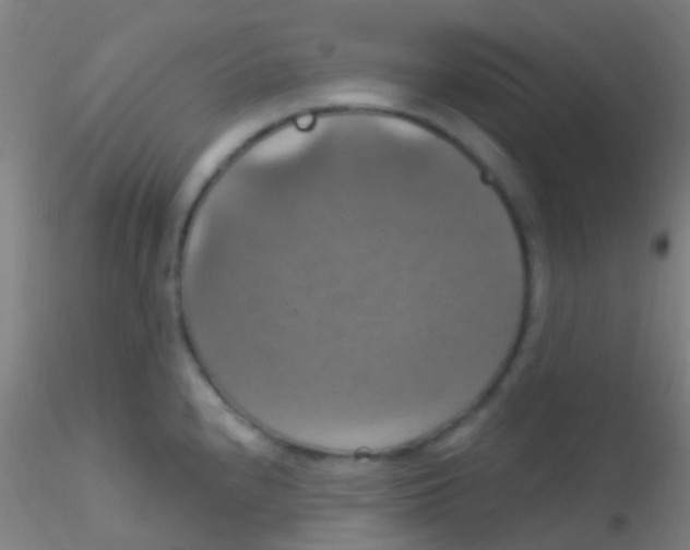 X0000115201240200911251435